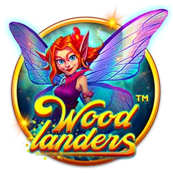 bingo plus points how to win football bet easily